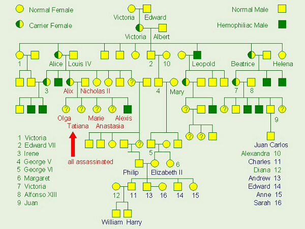 hemophilia the royal disease